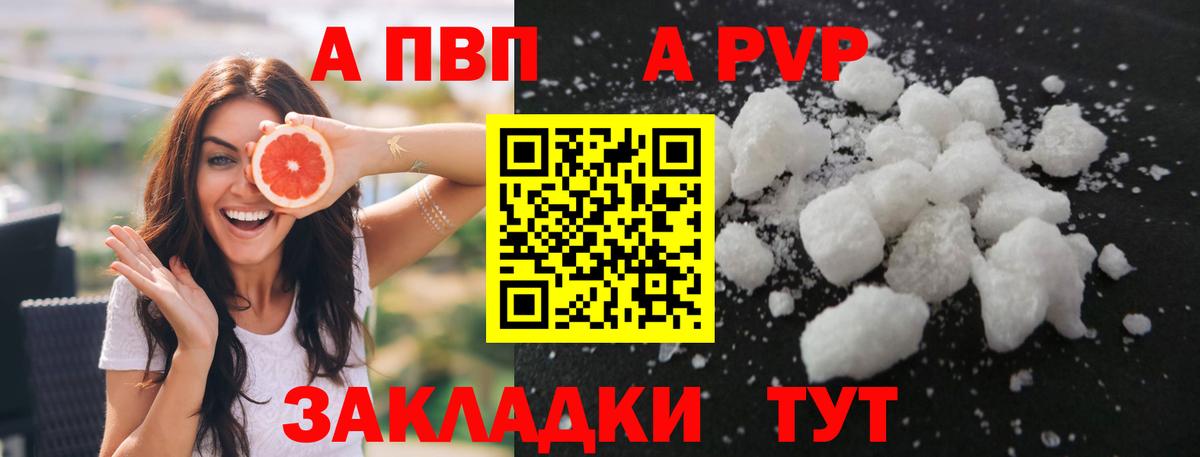 Alfa_PVP СК Гусев