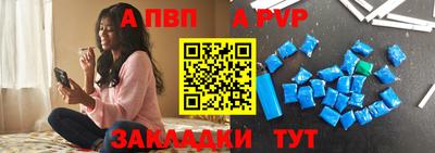 стаф Гай