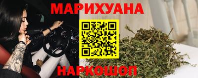 стаф Гай
