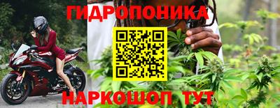стаф Гай
