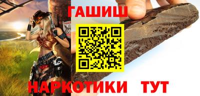 стаф Гай