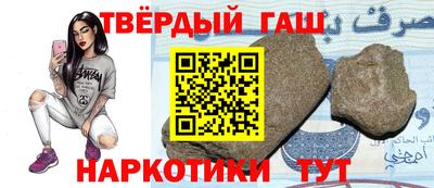стаф Гай