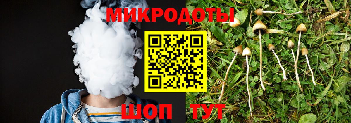 Галлюциногенные грибы Cubensis  Вход с VPN  Гусев  Псилоцибиновые грибы Cubensis 